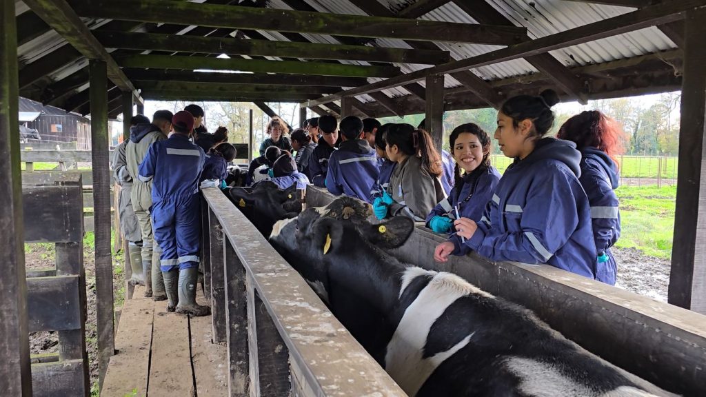 agropecuaria-pullinque-4.jpg