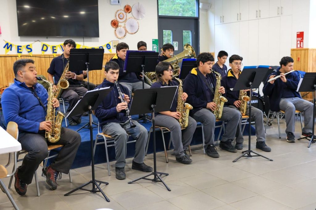 ensamble-sinfonico-pullinque.jpg